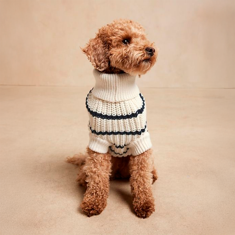 Choosing the Perfect Dog Clothing Size