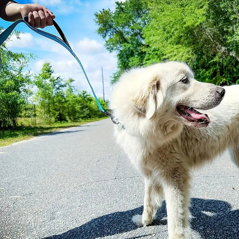 Leash For Dogs