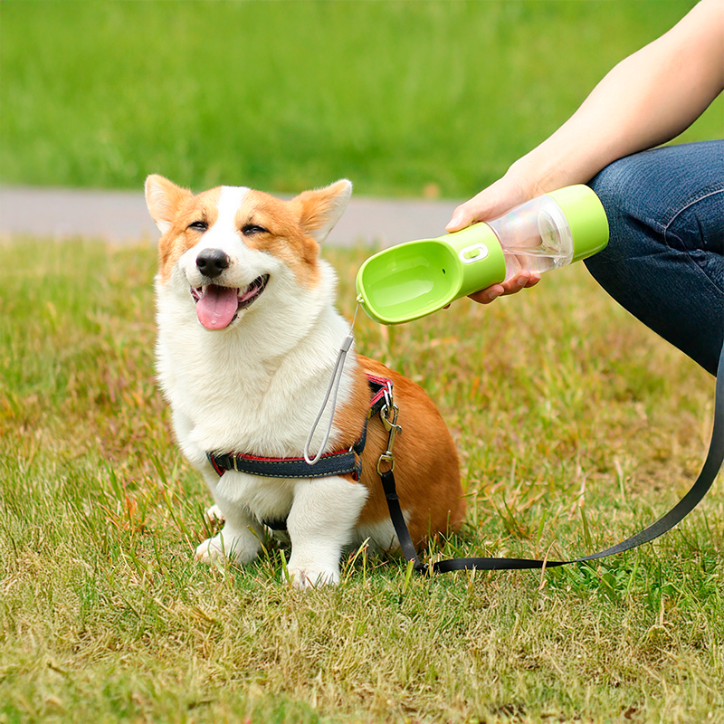 Travel Dog Water Bottle