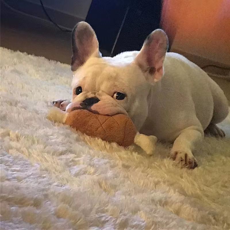 Plush treat toy shaped like a bone for dogs
Interactive plush treat toy for mental stimulation
Dog chewing on a colorful plush treat toy
Close-up of durable plush treat toy for pets