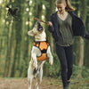 Durable Dog Harness