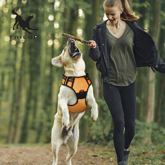 Durable Dog Harness