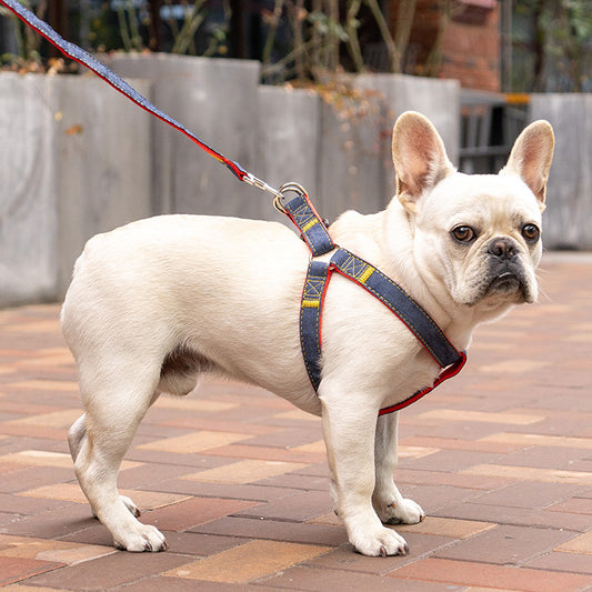 Stylish Denim Harness