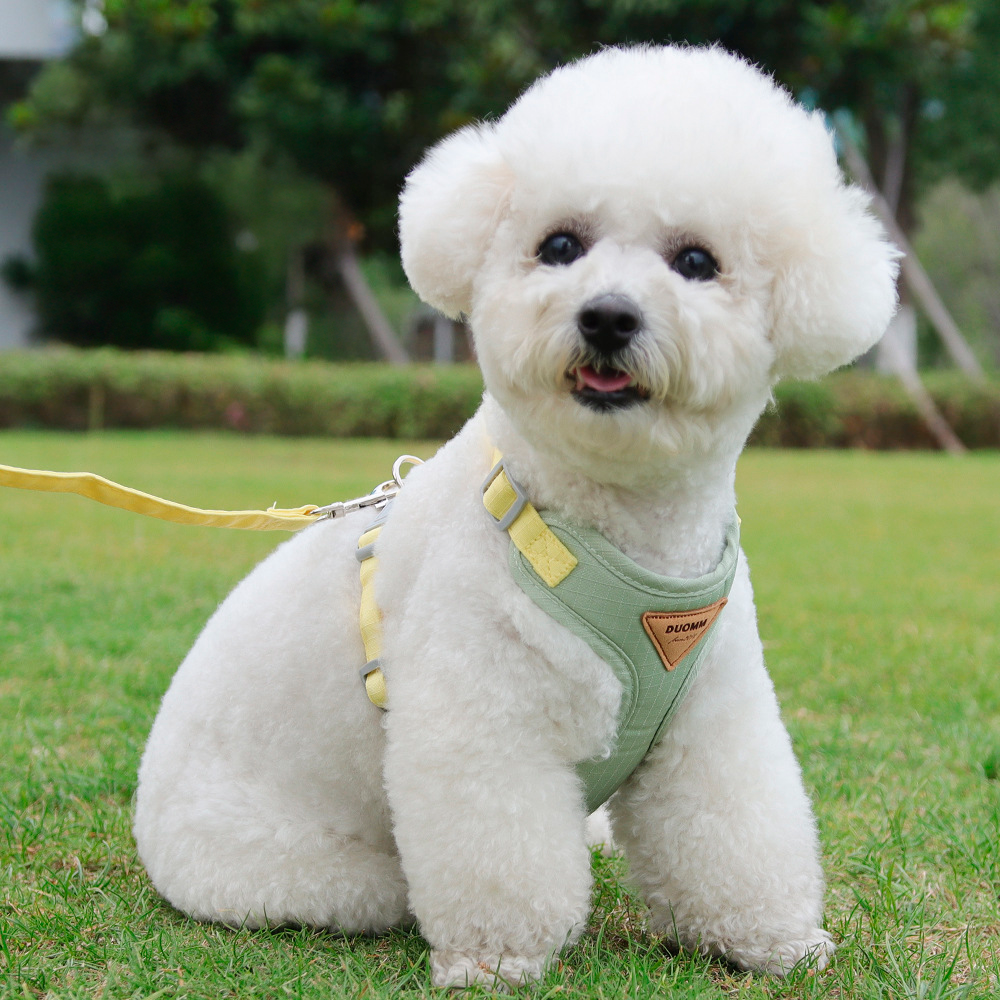 Comfort Dog Harness