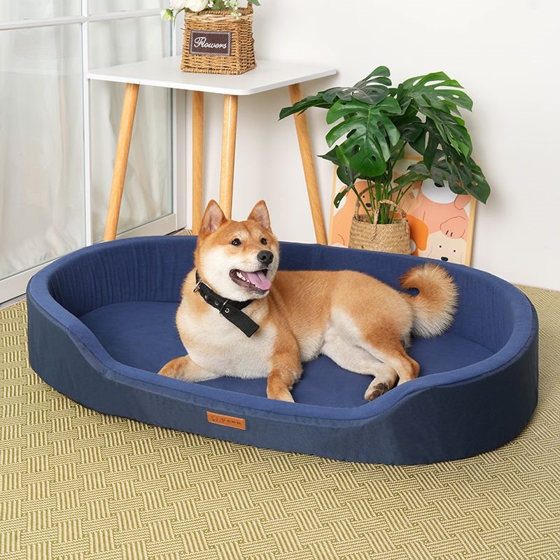 Dog relaxing on a plush sofa-style bed
Stylish sofa dog bed with raised sides
Close-up of soft and cozy sofa dog bed
Comfortable pet bed designed like a sofa for dogs