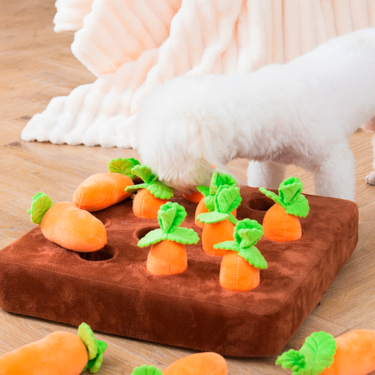 Dog solving carrots puzzle toy
Interactive puzzle toy with carrots for pets
Close-up of carrots puzzle toy on the floor
Pet enjoying mental stimulation with carrots puzzle