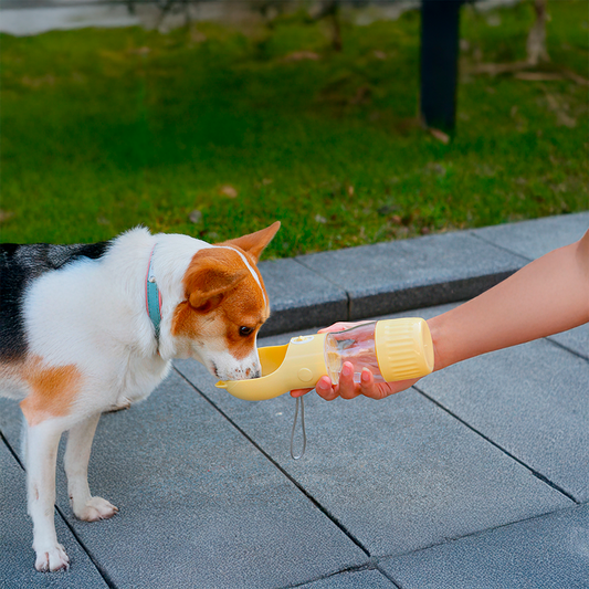 Travel Dog Water Bottle