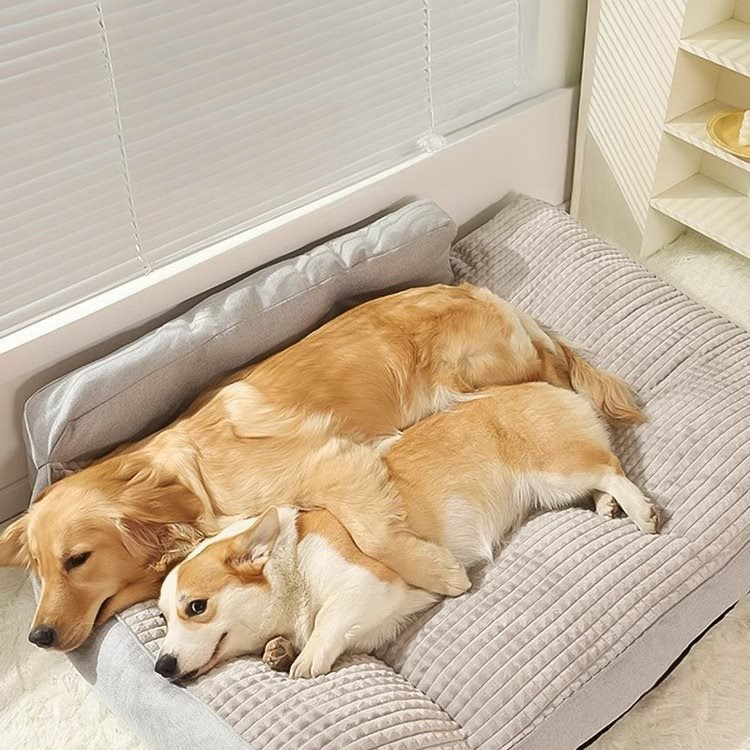 Luxury Pet Lounger