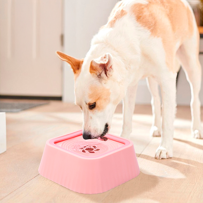 No-Spill Water Bowl