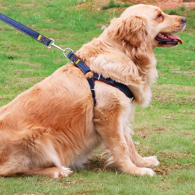 Stylish Denim Harness