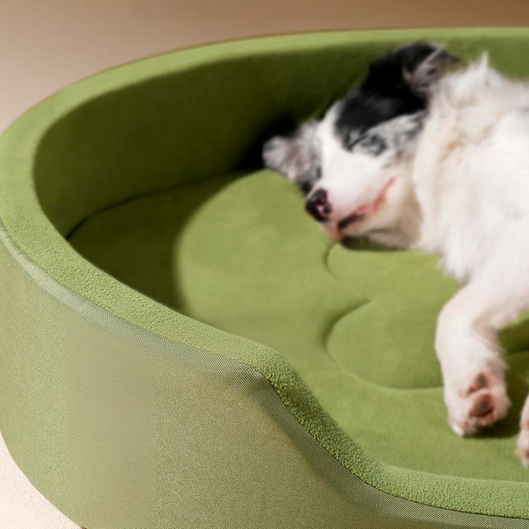 Dog relaxing on a plush sofa-style bed
Stylish sofa dog bed with raised sides
Close-up of soft and cozy sofa dog bed
Comfortable pet bed designed like a sofa for dogs