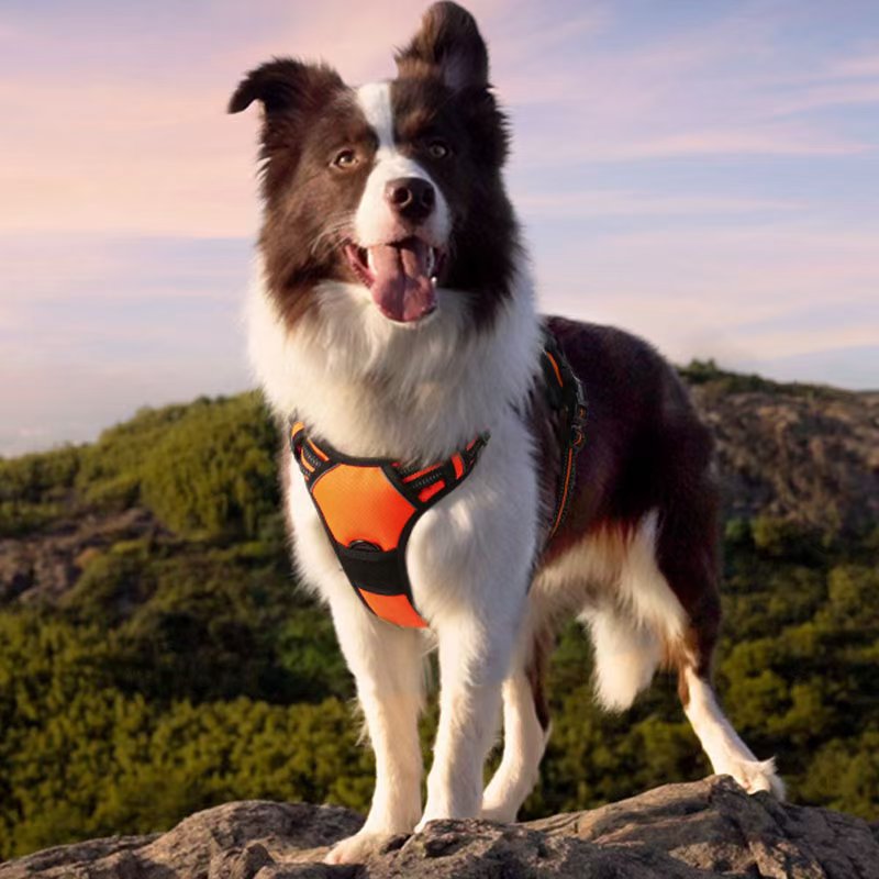 Durable Dog Harness