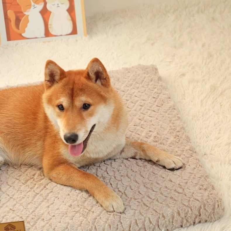 Orthopedic Pet Mat