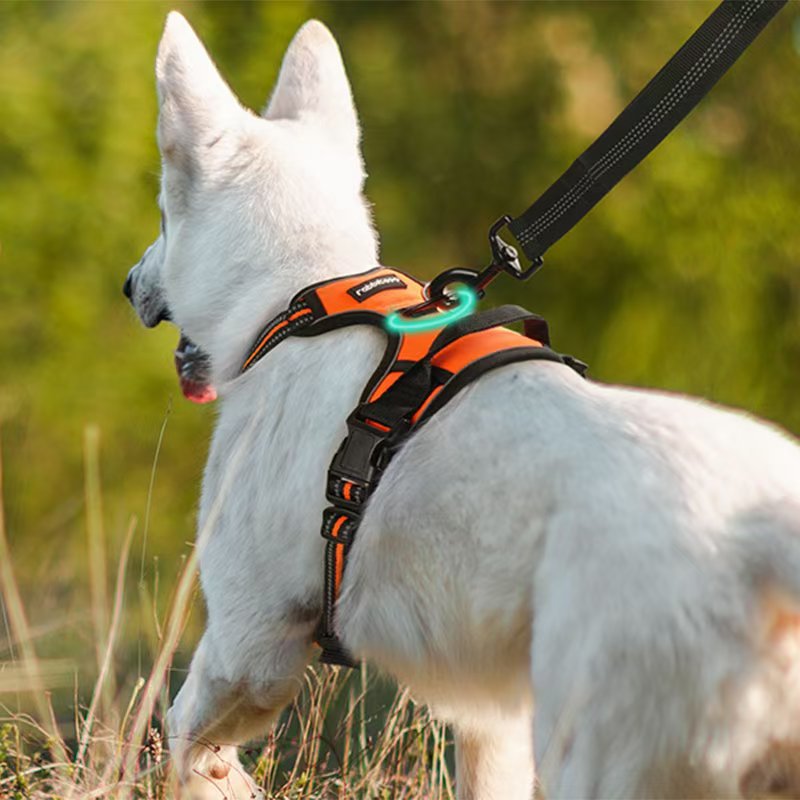 Durable Dog Harness