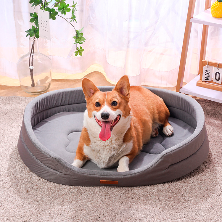 Dog relaxing on a plush sofa-style bed
Stylish sofa dog bed with raised sides
Close-up of soft and cozy sofa dog bed
Comfortable pet bed designed like a sofa for dogs