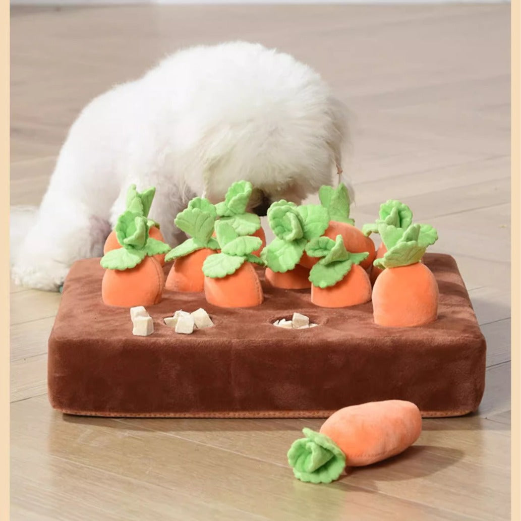 Dog solving carrots puzzle toy
Interactive puzzle toy with carrots for pets
Close-up of carrots puzzle toy on the floor
Pet enjoying mental stimulation with carrots puzzle