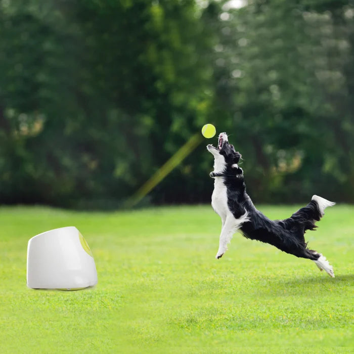 Dog waiting to fetch ball from automatic ball launcher
Close-up of automatic ball launcher for dogs
Automatic ball launcher with adjustable distance settings
Pet playing fetch with automatic ball launcher outdoors