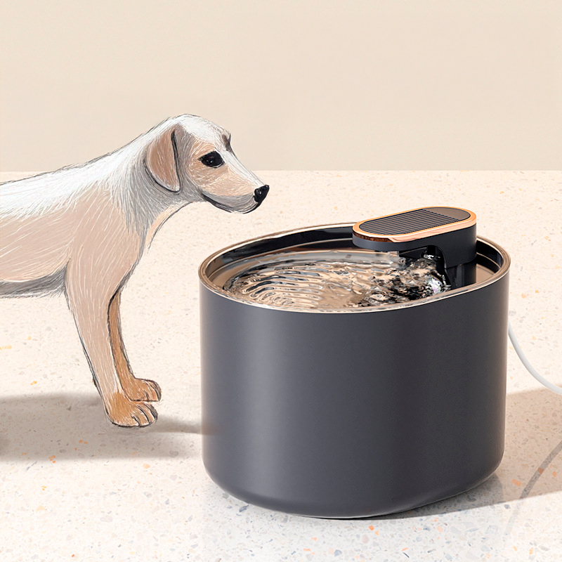 Modern Pet Fountain